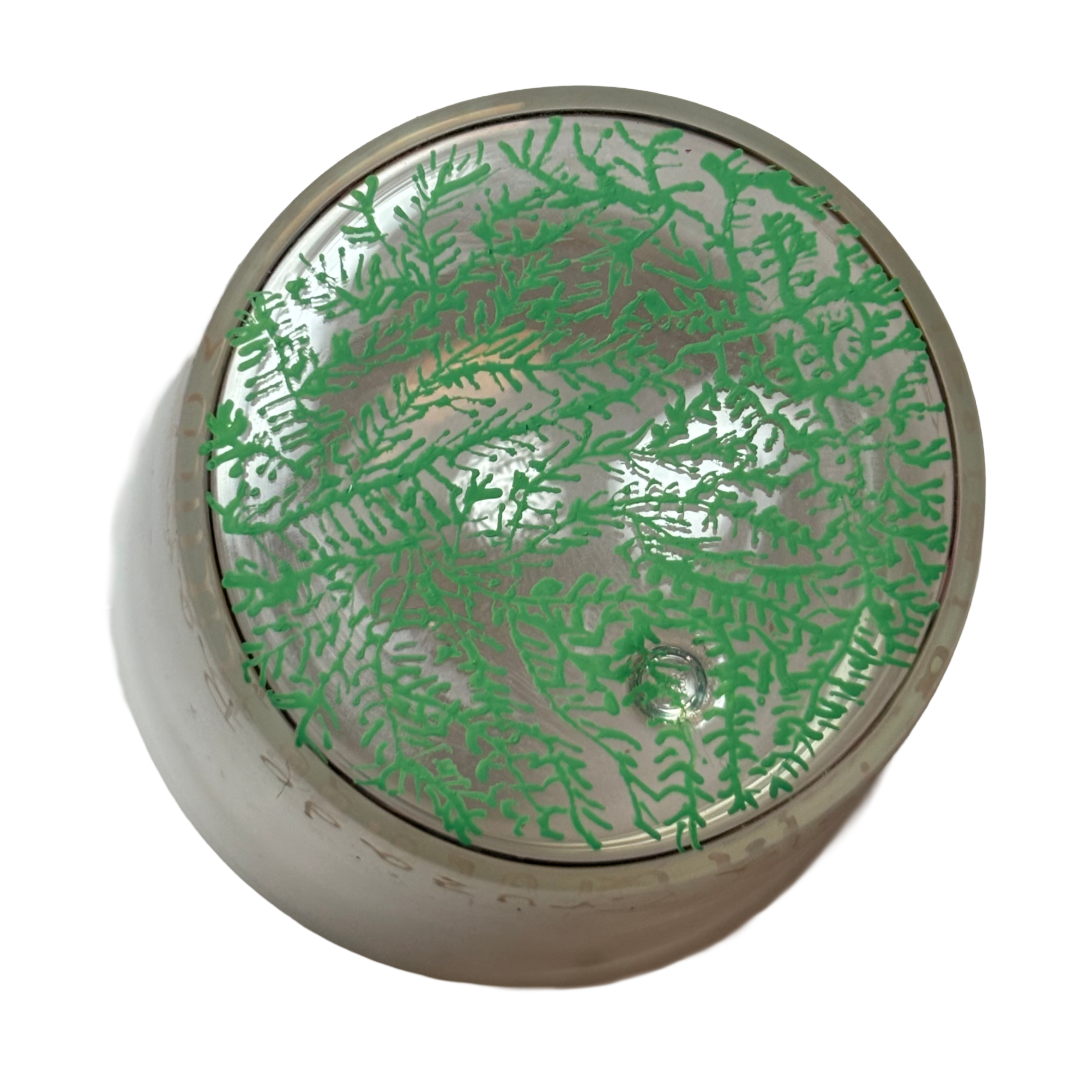 Empreinte végétale - Peinture sur verre